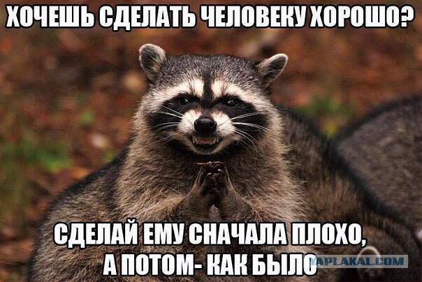 Смешные комментарии из социальных сетей 11.11.2014