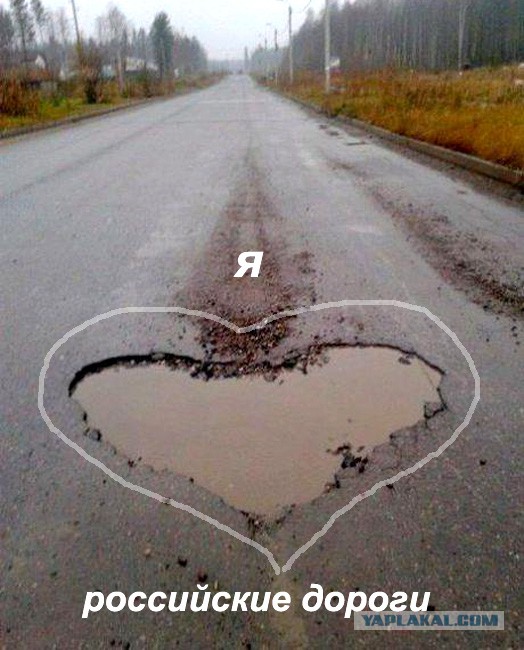 Приколы из сети