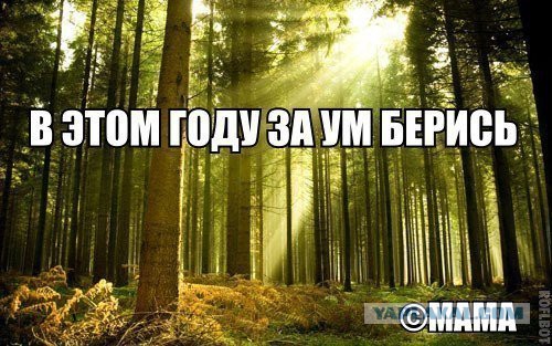 Подборка прикольных фото на пятницу