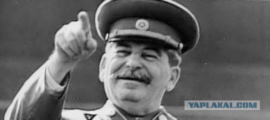 "Две гвоздики для товарища Сталина-11"