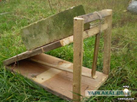 Японская мышеловка