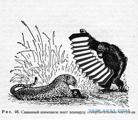 Врачи игнорировали окровавленную женщину на пороге больницы