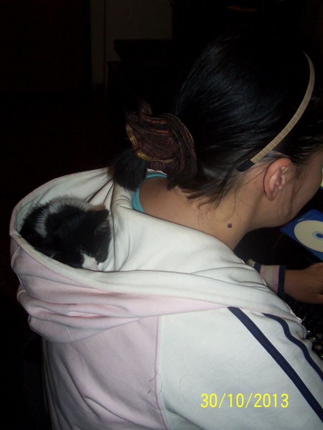 Настоящее предназначение капюшона