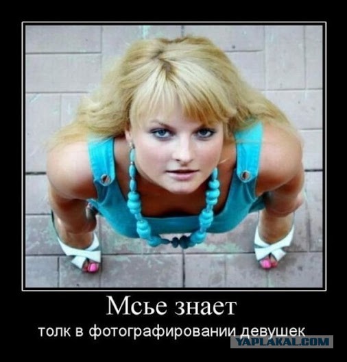 19 фотографий, где фон намного интересней переднего плана