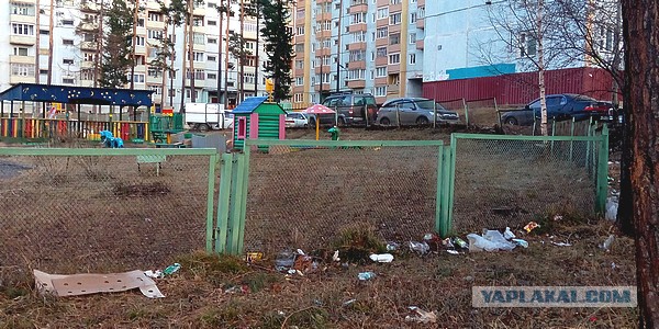 Говняный эксперимент