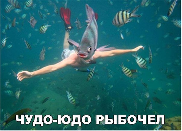 Подборка веселых картинок на выходные