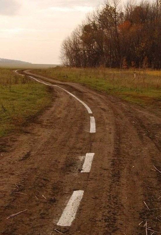 Весёлые картинки