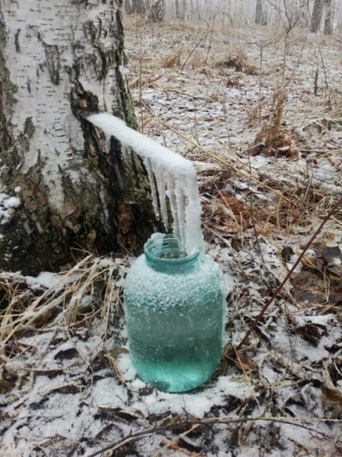 Подборка интересных и веселых картинок