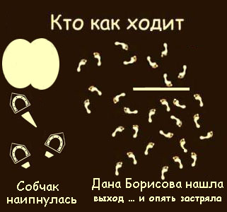 Фотожаба: Кто как ходит