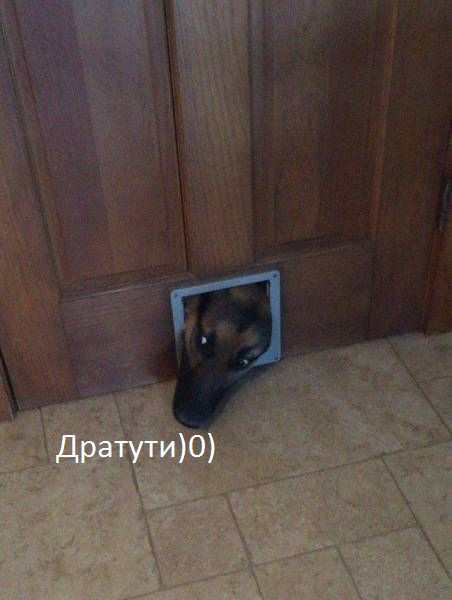 Подборка картинок