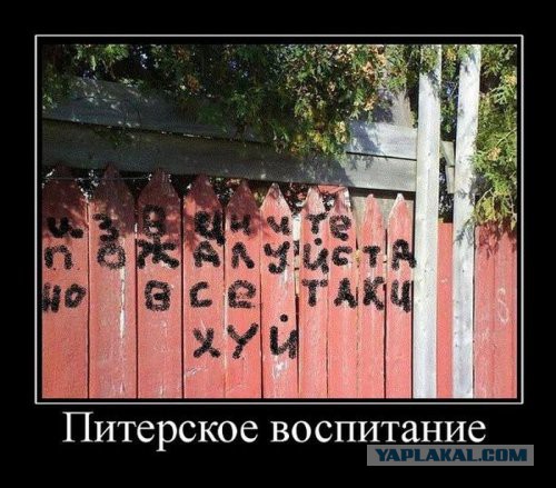 20 стрит-арт-работ, которые делают мир вокруг чуточку лучше