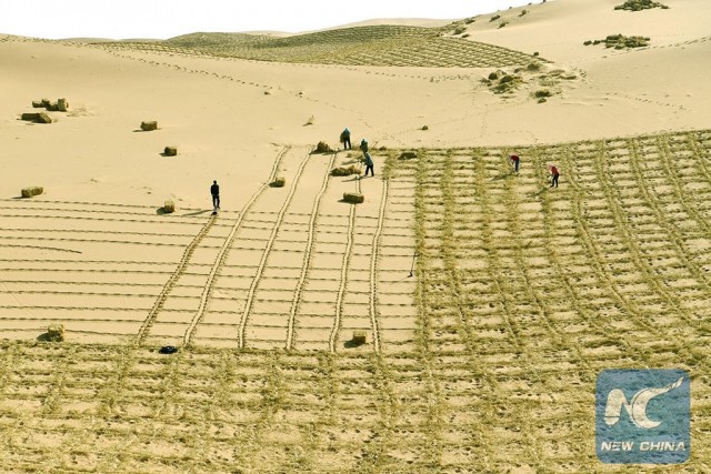 Борьба с пустыней в Китае