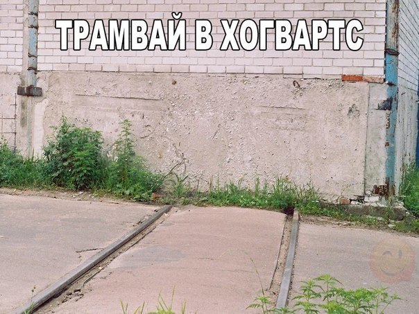 Нас преследует лёгкая деградация Япа