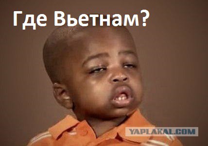 Бык признал того, кто его кормил.