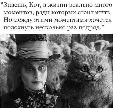 Минутка лёгкой наркомании и деградации