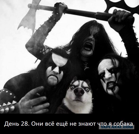 Ерундушки на четверг.