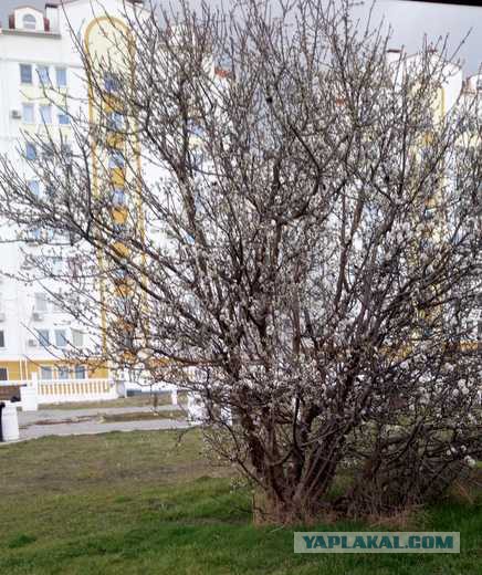 Ну что, москвичи, жалуетесь на снежок? А теперь посмотрите за МКАД!