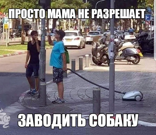 Разные картинки из интернета