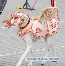 Костюм на Halloween