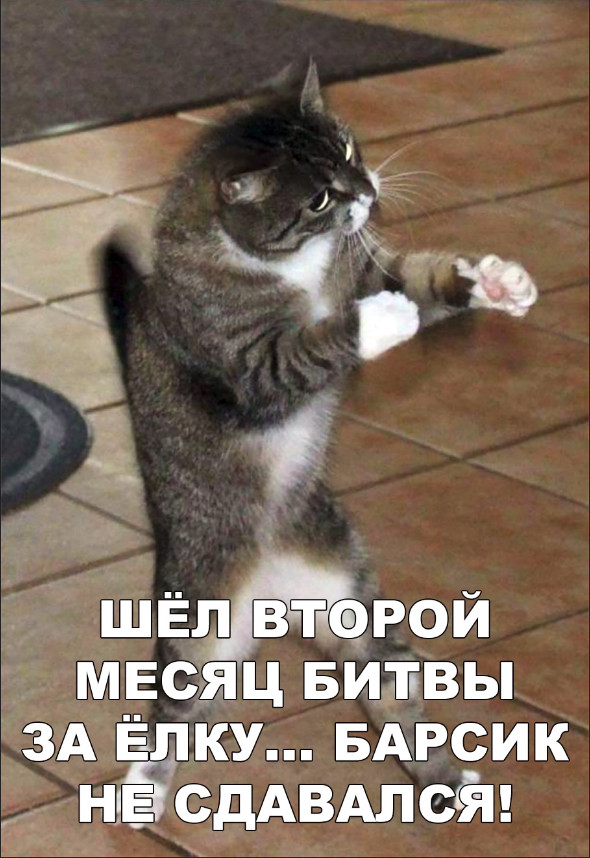 Нестандартный юмор