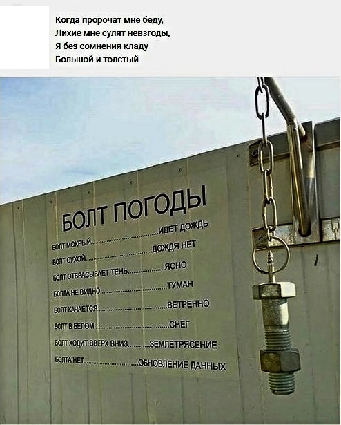 Анекдоты, соц-сети, истории и картинки с надписями