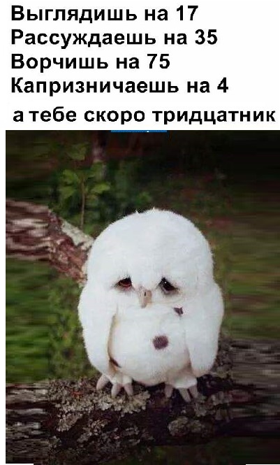 Картинки с надписями и анекдоты