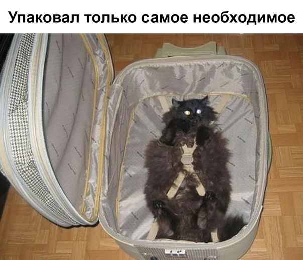 Картинки с надписями и анекдоты