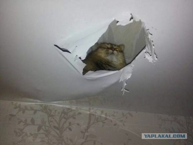 Щелевые испытания