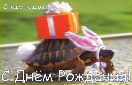 Спасите, в моей квартире женщина!