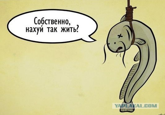 Истории про сома