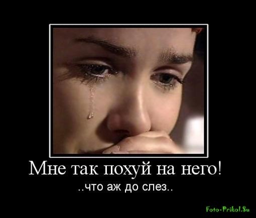 Демотиваторы