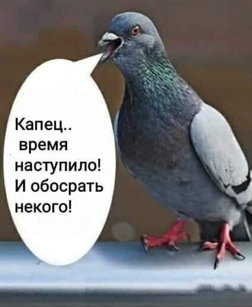 Пара-пара-пам! Фьють!