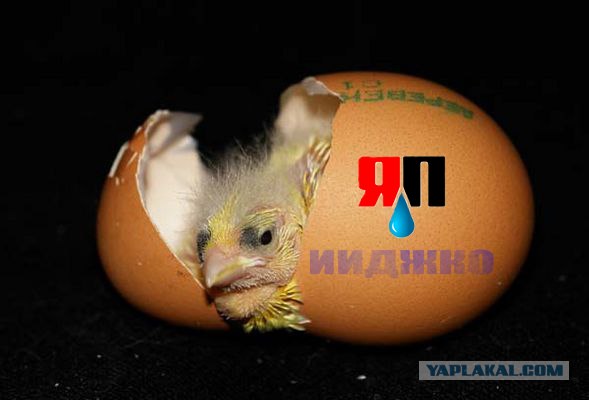 Фотожаба на пятницу