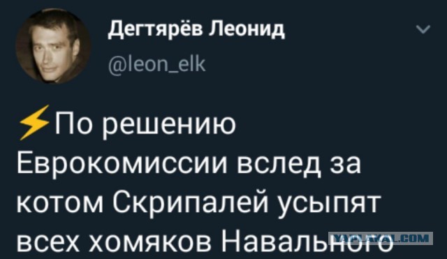 Евросоюз выступил с заявлением по «делу Навального»
