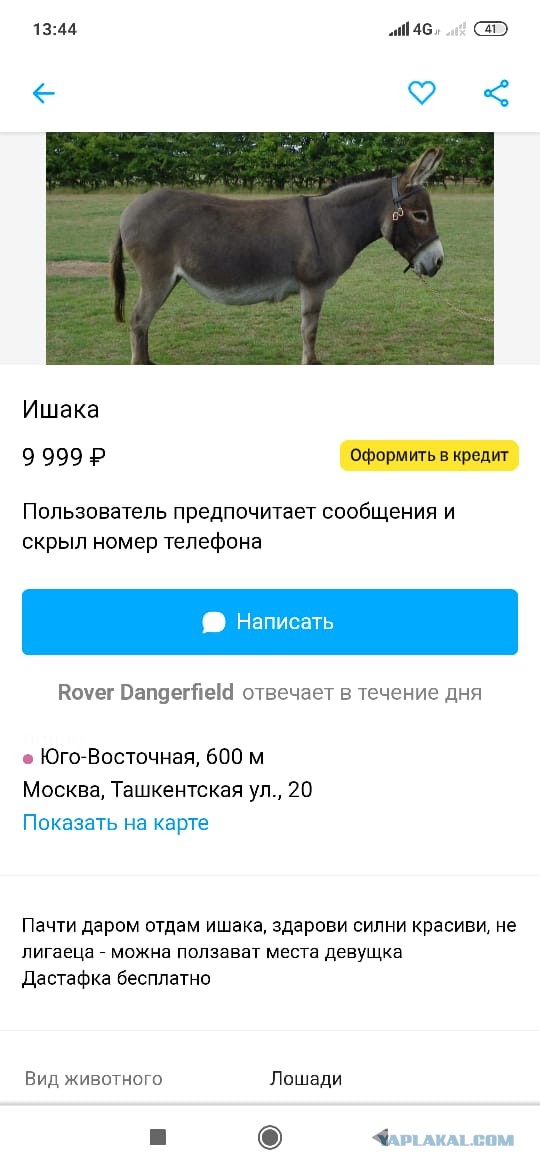 А х*ли нет?