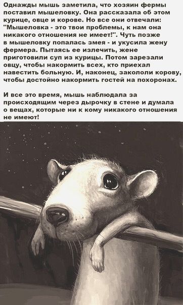 Подборка картинок 03.02.2021, часть 2
