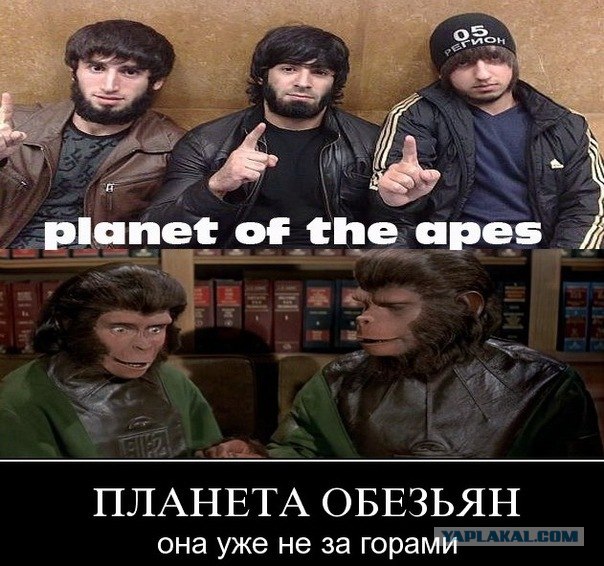 Беспредел на дороге