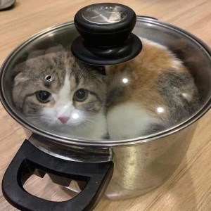 Как правильно готовить суп
