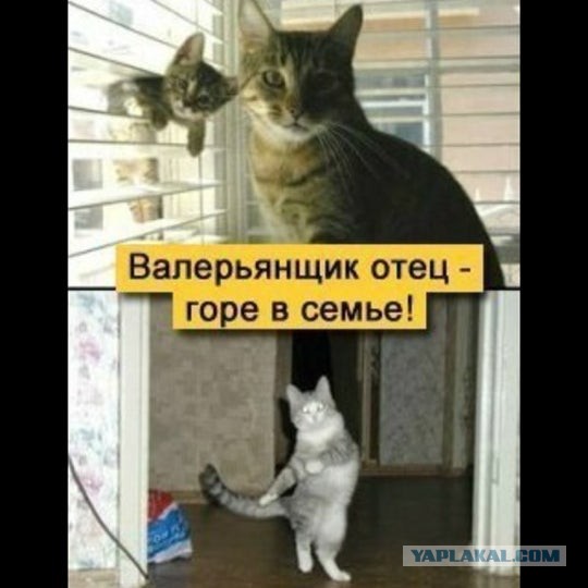 Расслабился