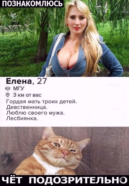 Картинки и мемы для настроения 04.08.2021