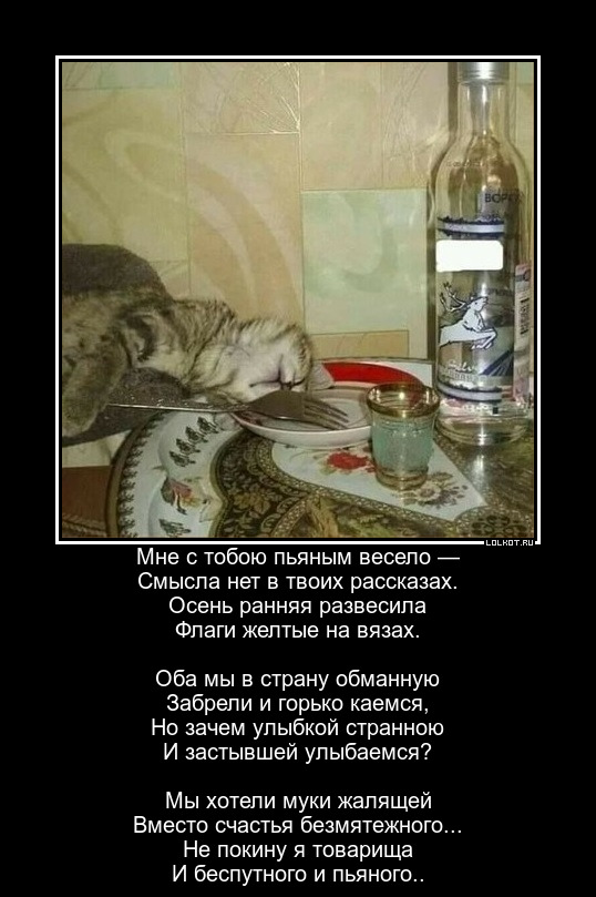 Вот все говорят – слабо выпить? Я отвечаю – Выпить то мне не слабо, а вам слабо не выпить?! Часть 2.