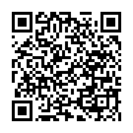Предлагаю не брать цифровые QR коды