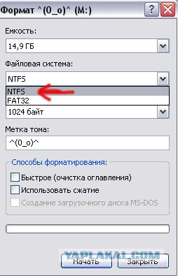Ловим вирусы