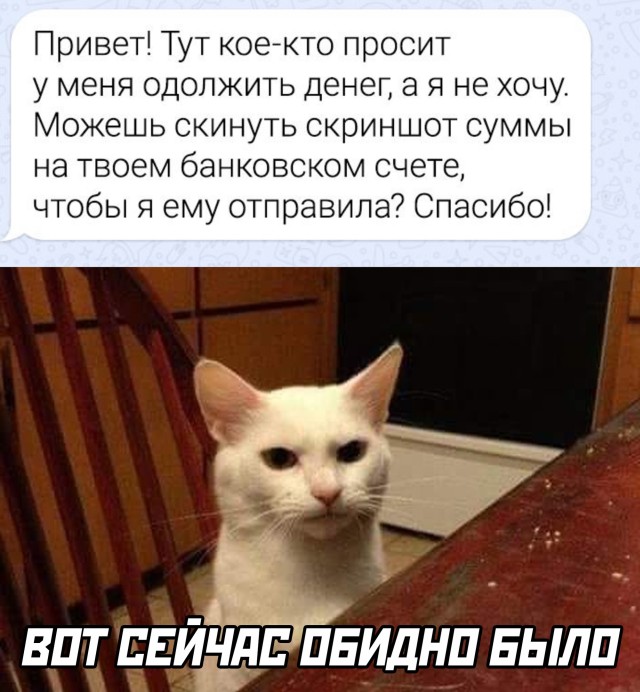 Так себе картинки 23.11.21