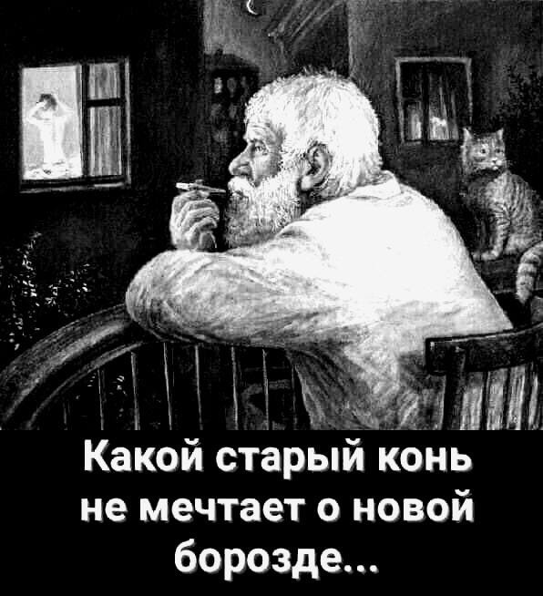 Чуток картинок 17.12.21