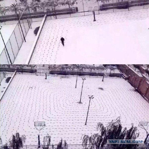 Так себе картинки 30.01.22