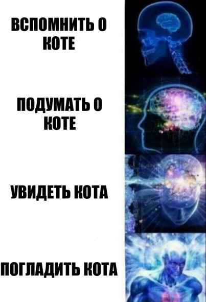 Жизнь домашнего приюта для котеек 382