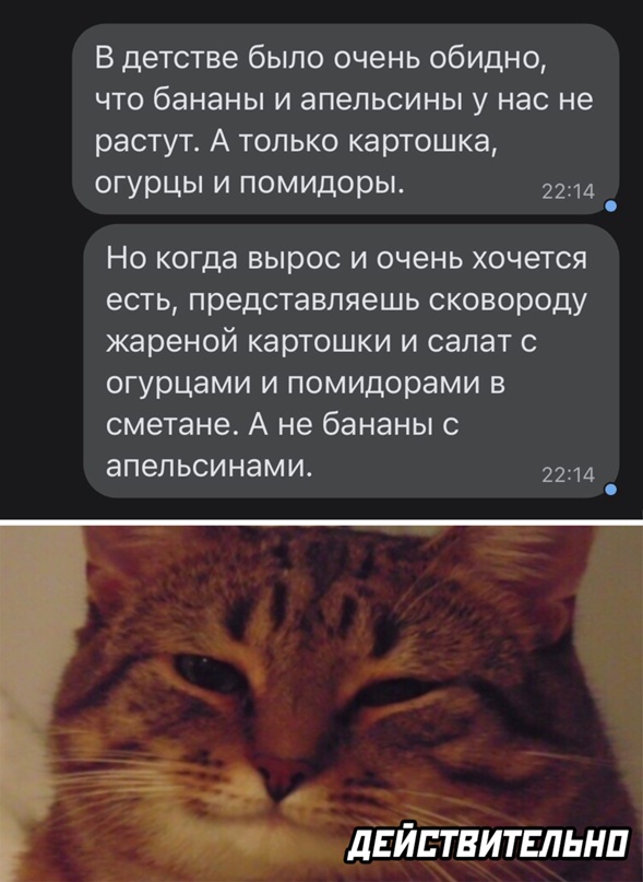 Весёлый полтишок 20.04.22