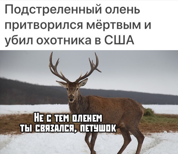 Так себе картинки 23.04.22