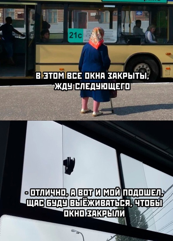 Весёлый полтишок 03.06.22